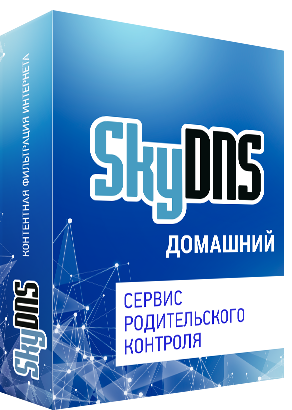 SkyDNS Home 700x500